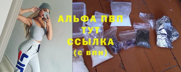 винт Алзамай