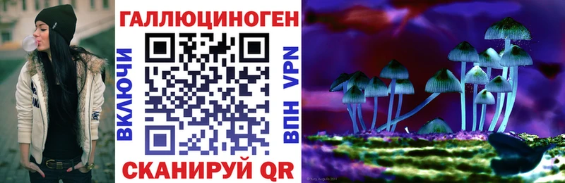 дарк нет наркотические препараты  Апрелевка  Галлюциногенные грибы Cubensis  купить наркотик 