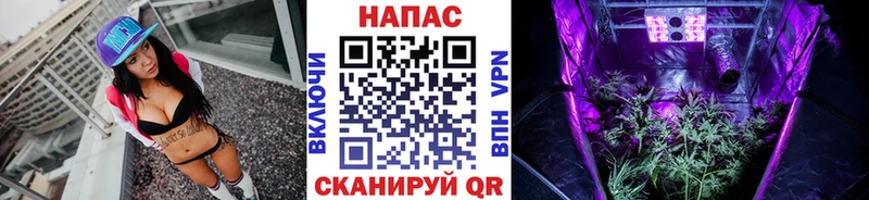Канабис конопля  площадка формула  Апрелевка 